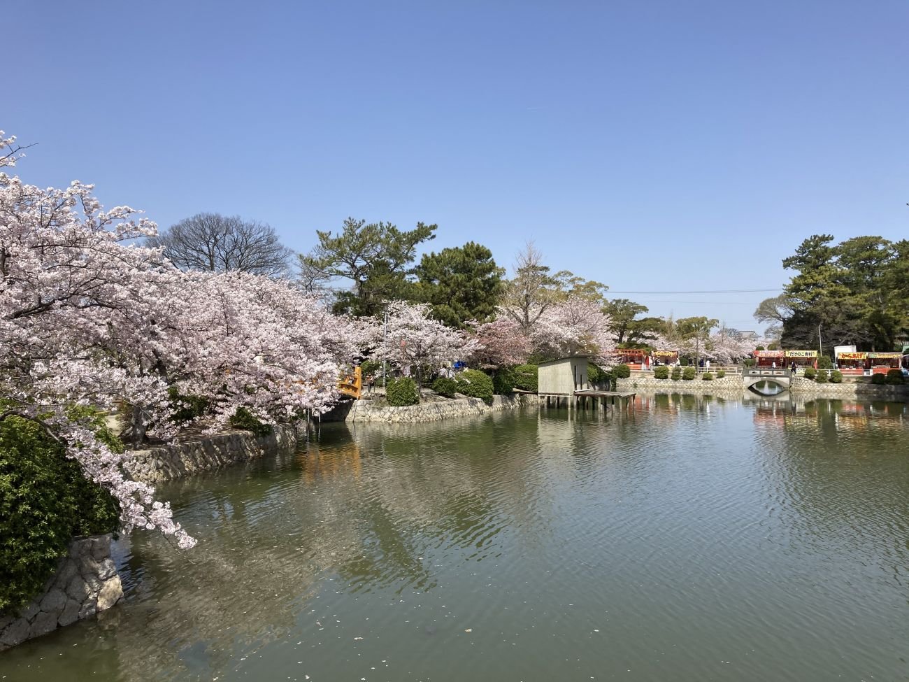 🌳 규카 공원 이미지 1